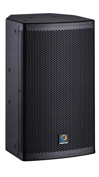 DS-10